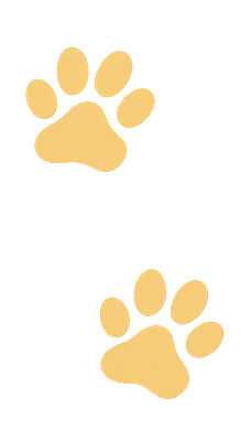 Gele pootafdrukken achtergrond, relevant voor Dierenvoedselbank Spijkenisse.