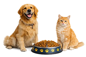 Hond en kat bij een bak hondenvoer. Doneren.